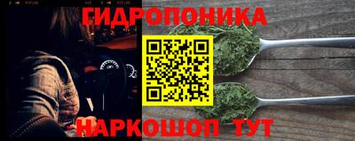винт Шелехов