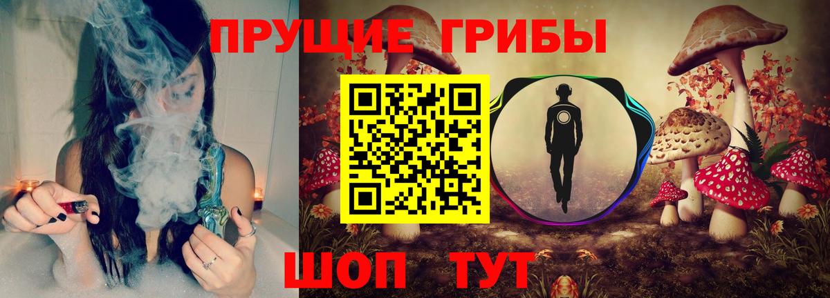 Галлюциногенные грибы Psilocybe  Вход с VPN  наркошоп  Псилоцибиновые грибы прущие грибы  Куйбышев 