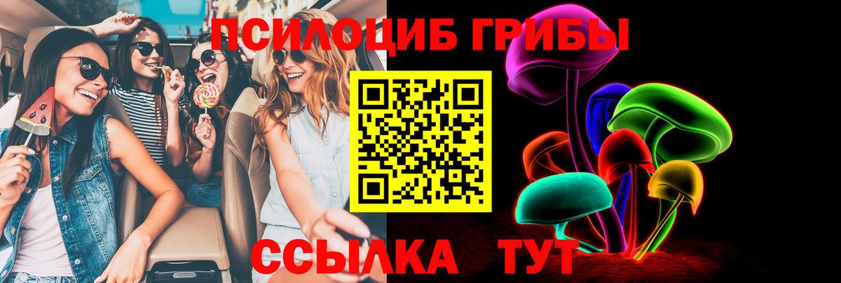 Галлюциногенные грибы MAGIC MUSHROOMS Куйбышев